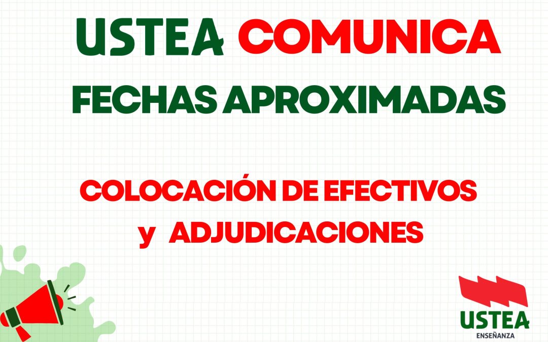FECHAS APROXIMADAS DE COLOCACIÓN DE EFECTIVOS y ADJUDICACIONES