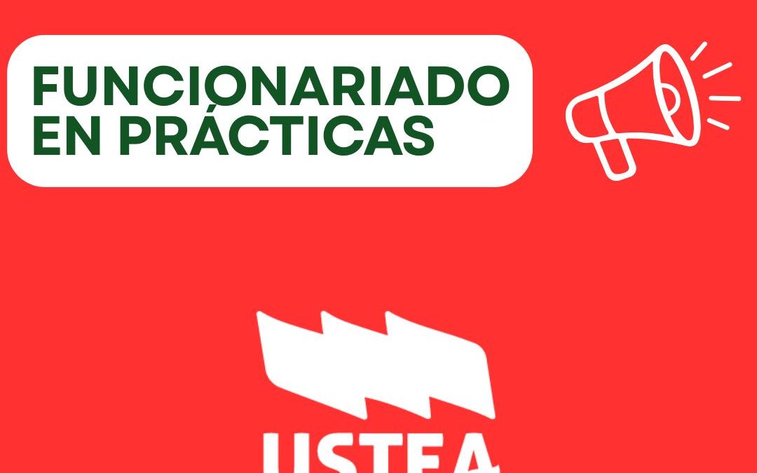 FUNCIONARIADO EN PRÁCTICA: MATERIALES DE LA CHARLA DEL 10 DE SEPTIEMBRE